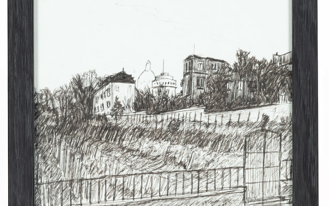 Les vignes de Montmartre